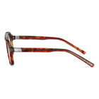 EPID 02, Havana Shiny-No Lens Reference, hi-res image number null